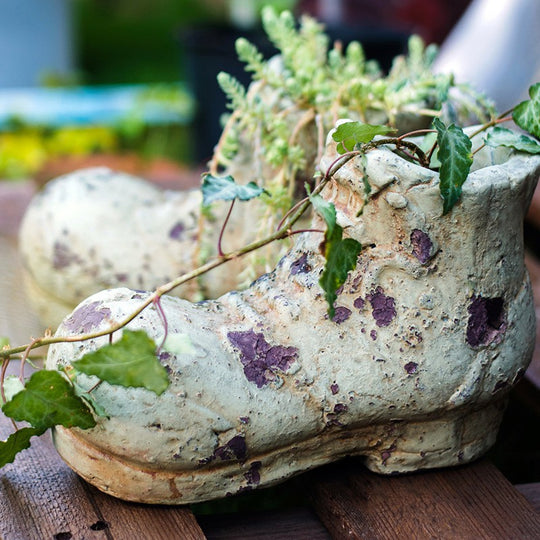 Daddy's Shoe Vase